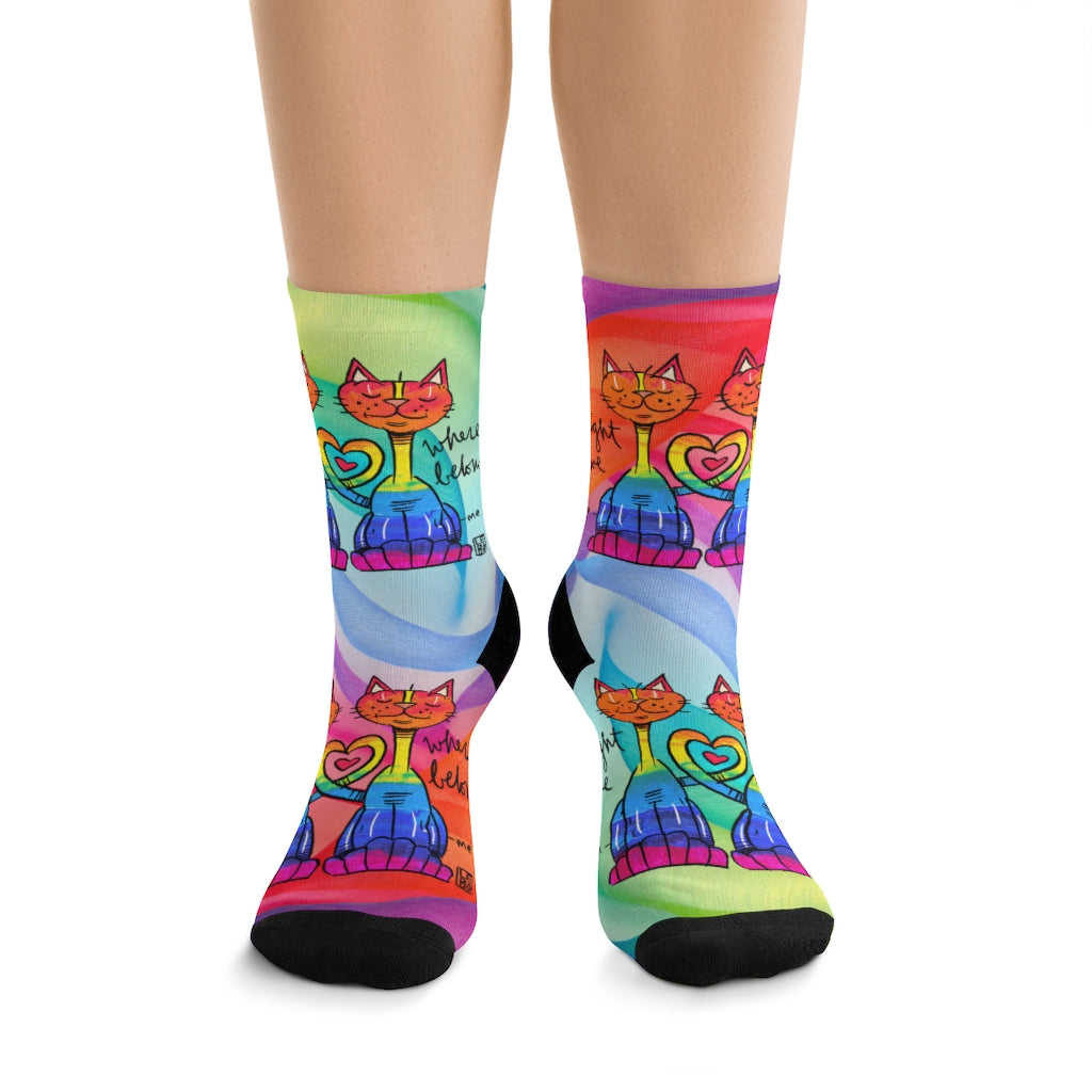 Right Where We Belong - Rainbow Collection - Lebo Tribe Socks